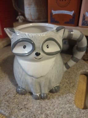 Cost Plus World Market Gray and White Raccoon Ceramic Mug🦝